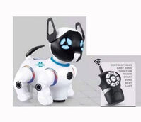 Chó điều khiển 2629-T9B