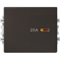 Công tắc 2 cực Schneider 8431MD20