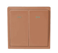 Công tắc đôi 1 chiều Honeywell P63921NGLA