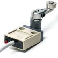 Công tắc hành rình Omron D4C-6302