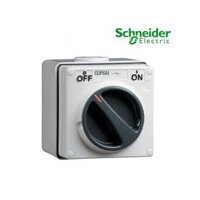 Công tắc Schneider IP66 S56SW310GY