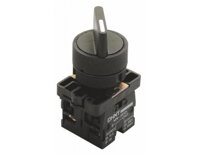 Công tắc xoay Chint NP2-ED45