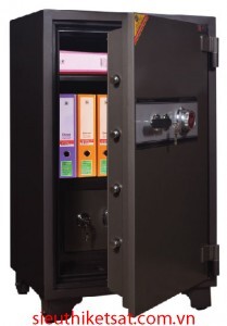 Két Sắt Truly TD-950EE 