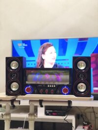 Dàn âm thanh hát karaoke Bluetooth Isky - SK335 2.1