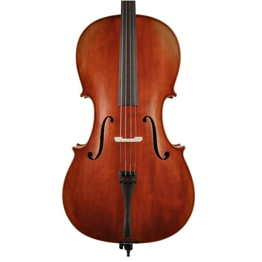Đàn Cello Scott Cao STC150