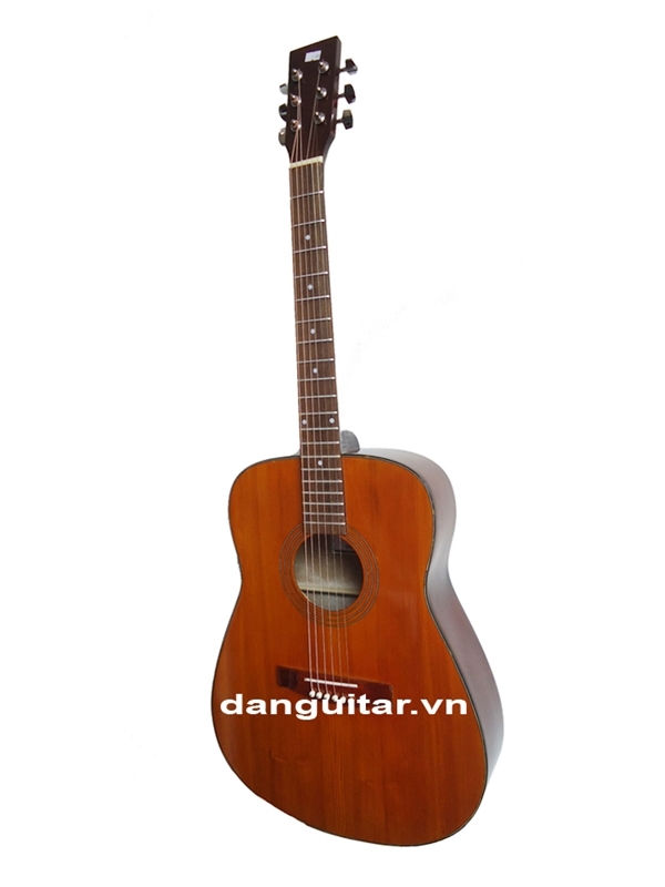 Đàn Guitar Acoustic GA-10 EV