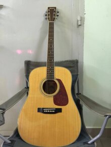 Đàn Guitar acoustic MORRIS MD- 528