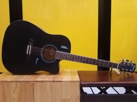Đàn Guitar Acoustic Rosen R135