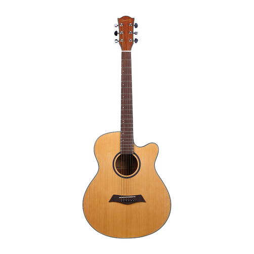 Đàn guitar Acoustic Sunny SN720A