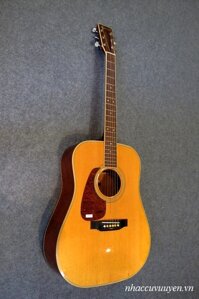 Đàn Guitar Acoustic tay trái Morris MD-507 - Màu N/ TS