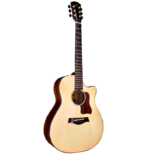 Đàn Guitar Acoustic Taylor T550D