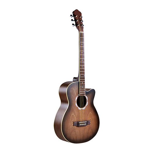 Đàn guitar Acoustic Vines VA-3940TBS