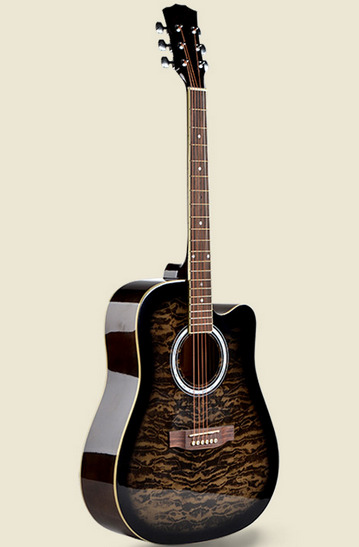 Đàn guitar Acoustic Vines VA-4130BKS