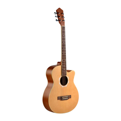 Đàn guitar acoustic Vines VA-4045N