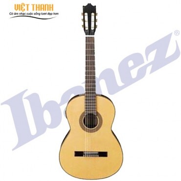 Đàn guitar IBANEZ G200 ENT