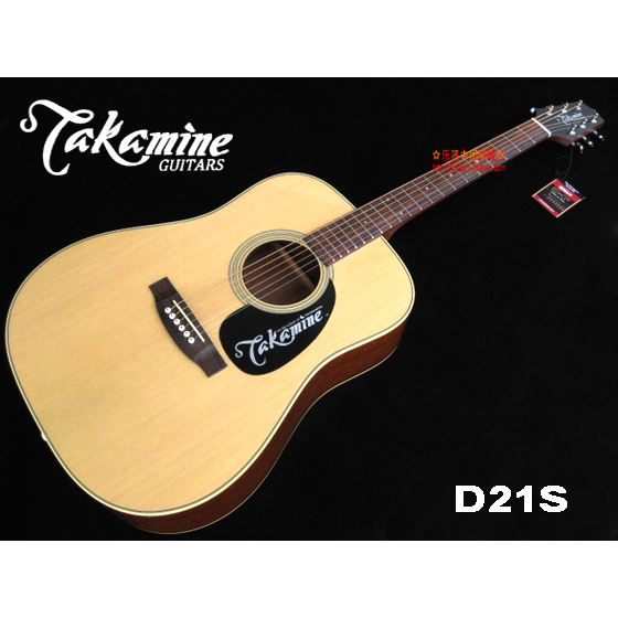 Đàn guitar Takamine D21S