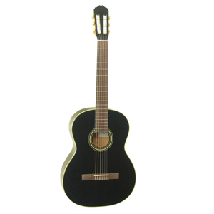 Đàn guitar Takamine D31 BL