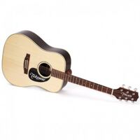 Đàn guitar Takamine D5D