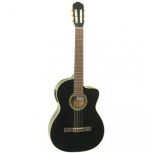 Đàn Guitar Takamine ED31C