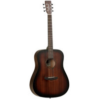 Đàn guitar TangleWood TWCR-D