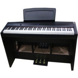 Đàn piano Dynatone DPP510