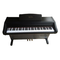 Đàn Piano Điện Kawai PW-800