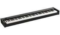 Đàn Piano điện Korg D1