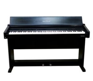 Đàn piano điện Technics SX PR200