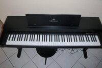 Đàn Piano Điện Yamaha CLP350 (CLP-350)