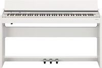 Đàn Piano Roland F120WH