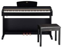 Đàn Piano Yamaha Arius YDP-161