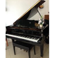 Đàn piano Yamaha G2E