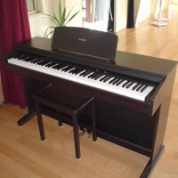 Đàn Piano Yamaha YDP-101