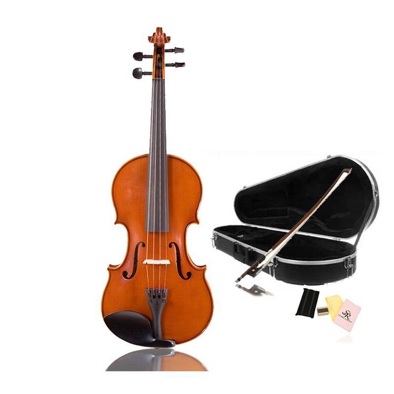 Đàn violin Scherl & Roth SR41E1H