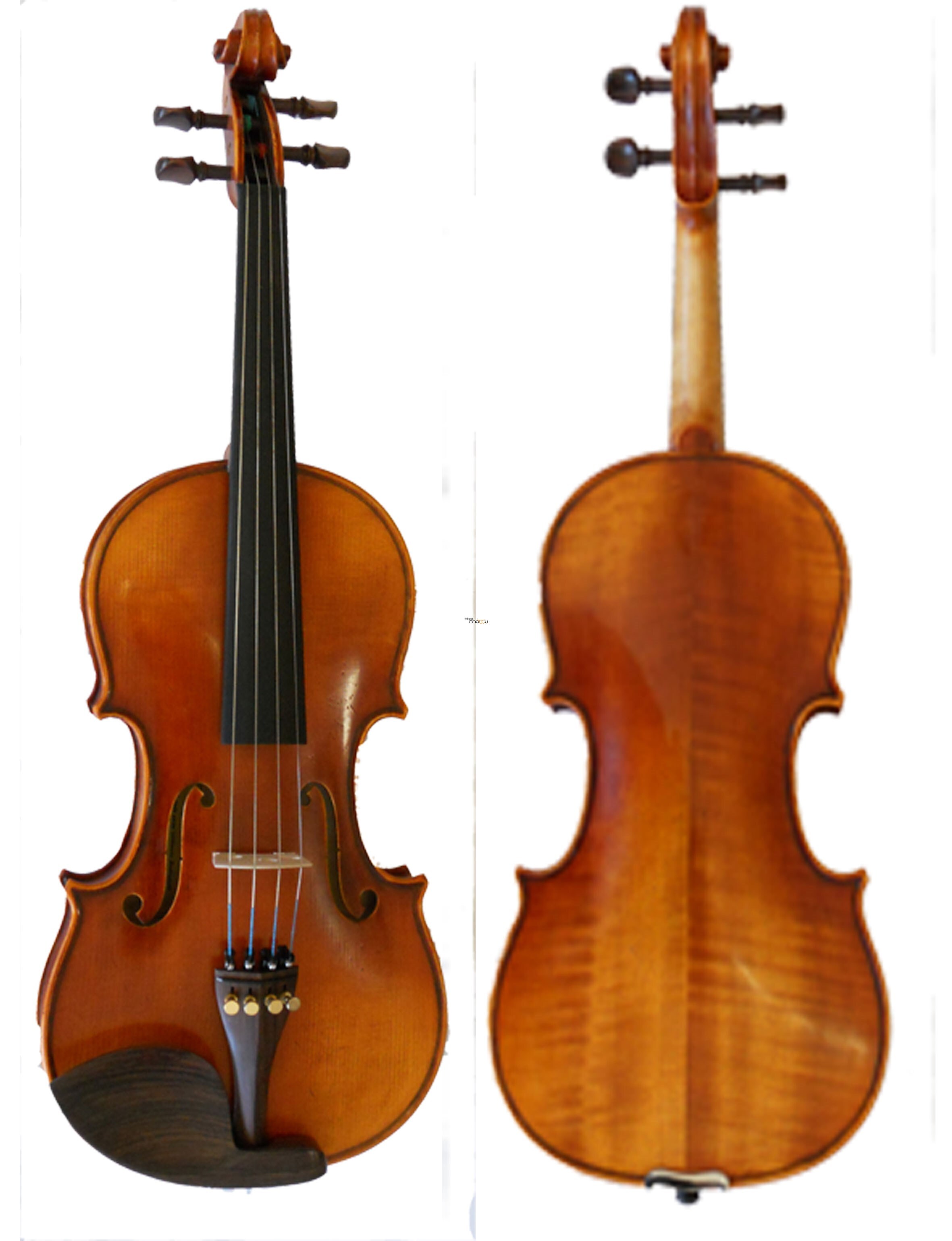 Đàn Violin Scott & Guan 017