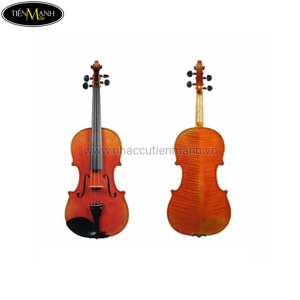 Đàn Violin Scott & Guan Violin STV013