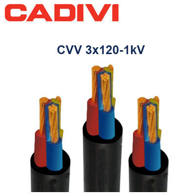 Dây cáp điện Cadivi CVV 3x120