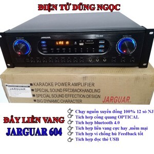 Đẩy liền vang Jarguar PA-604