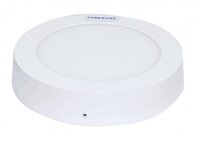 Đèn downlight gắn nổi Paragon PSDII170L12