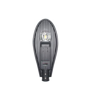 Đèn đường LED Rạng Đông CSD02L - 30W