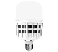 Đèn led bulb công suất lớn Điện Quang ĐQ LEDBU09 30765