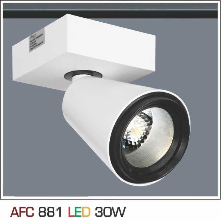 Đèn led chiếu điểm Anfaco AFC-881 - 30W