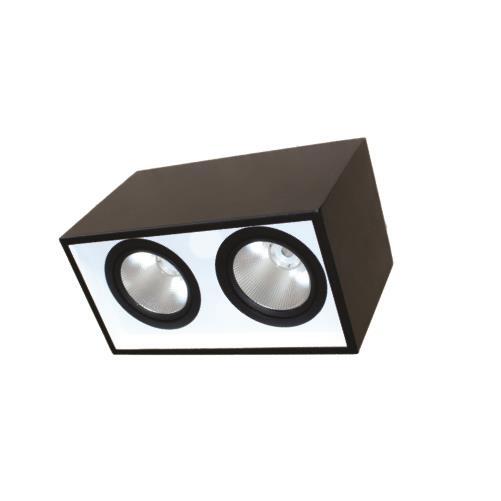 Đèn led downlight gắn nổi chiếu sâu Duhal DFB2151 - 2*15W