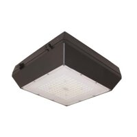 Đèn Led Ốp trần chống thấm DRG0551