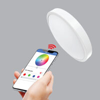 Đèn led ốp trần CL30/SM 30W