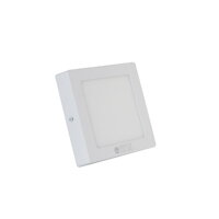 Đèn LED ốp trần D LN10L 22x22 18W