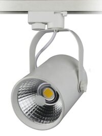 Đèn Led Rọi Ray COB - 20W