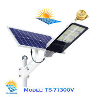 Đèn năng lượng TS-71300V