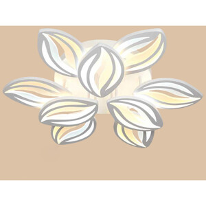 Đèn ốp trần Nc 047/6+3