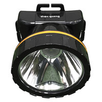 Đèn pin đội đầu Điện Quang ĐQ PFL13 R BLO